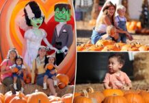 Mr. Bones pumpkin patch returns to widespread LA metropolis for Halloween
