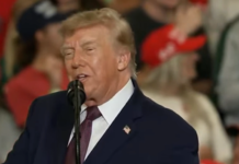 President Trump Claims Epstein Heckler Was Paid $250, Insinuates He's Gay