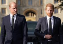Prince Harry Says He Grieves Prince William, King Charles Relationship