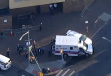 NYC Driver Plows Through Halloween Event, Injuring Several People