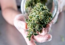 Our granddaughter reeks of pot when we choose her up from her mom’s home