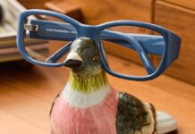 You Don’t Need $15 Million for Whimsical Bird Decor