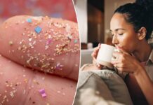 ‘Critical warning’ about microplastics in well-liked drink