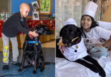 How canines at NYC hospitals are serving to heal sick children