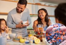 Microplastics exhibiting up in 2 breakfast meals, gorgeous scientists