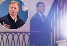Roger Goodell sends clear Jed York message as 49ers proprietor geese media after arrest