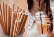 Paper straws worse for the surroundings than plastic ones, says examine