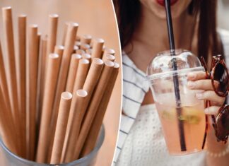 Paper straws worse for the surroundings than plastic ones, says examine