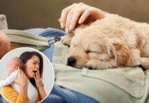 Woman calls for maternity depart for new pet, sparking outrage